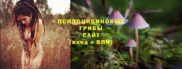 гидра Баксан